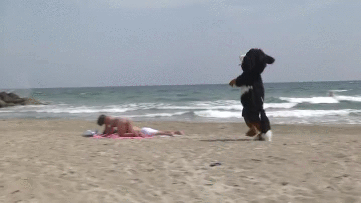 If You Don't Want To Laugh So Hard... Don't Watch This Youtube Dog Prank!