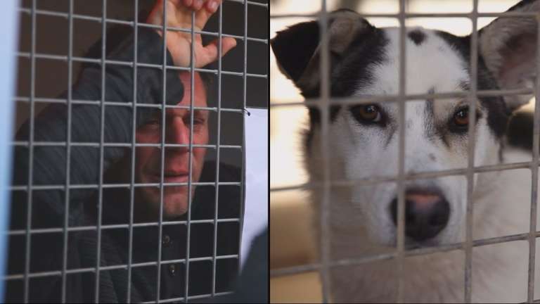 YouTube prankster Rémi Gaillard locked in cage, raises €200,000 for the animal shelter