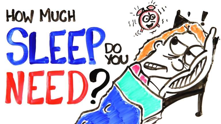 How Much Sleep Do You Actually Need?