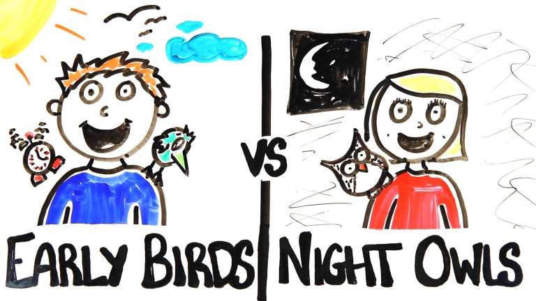Early Birds vs Night Owls