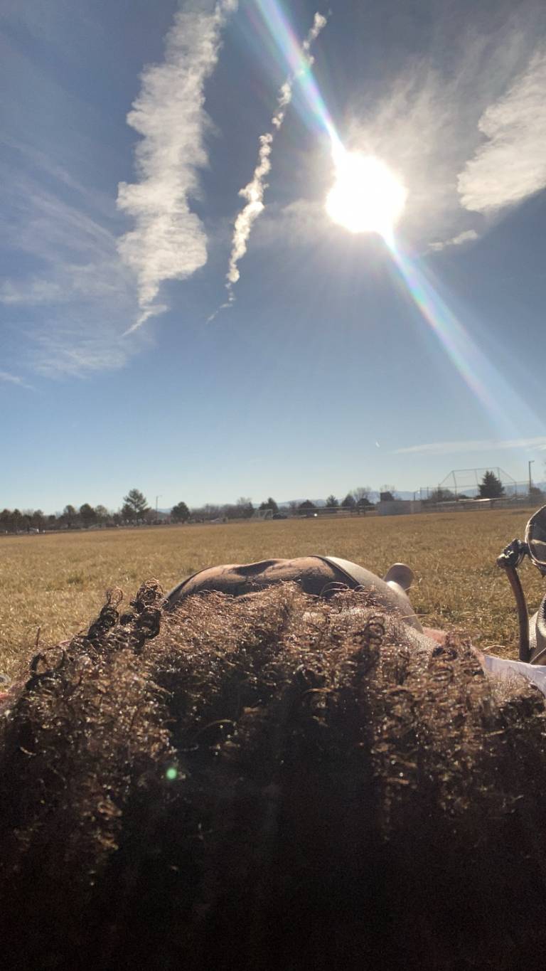 Would You d**k ME DOWN?