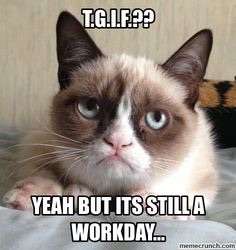 Grumpy cat is right #TGIF