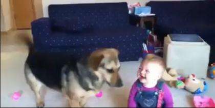 #Dogs + Baby + Bubbles = #Happiness