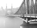 Liberty Bridge / Budapest