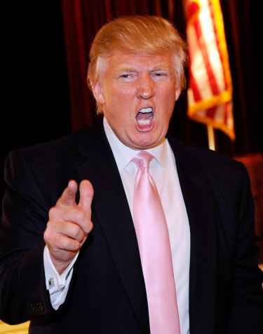 #Politics: Would you vote for Donald Trump?