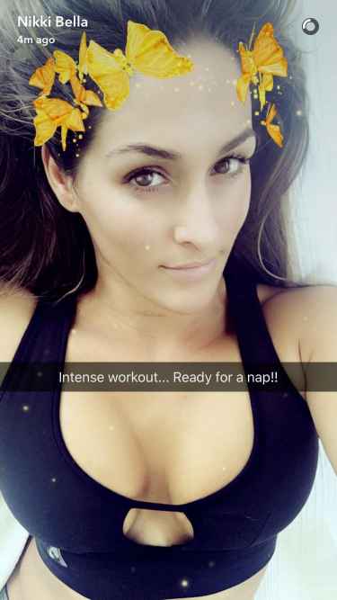 Nikki Bella Snapchat Username @TheNikkiBella2