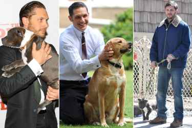 Did you know Tom Hardy love dogs!!??