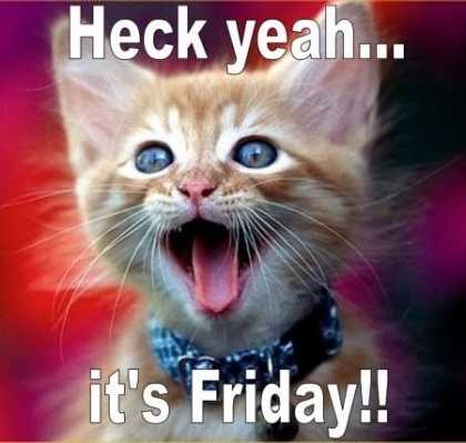 #TGIF can't wait for the weekend...