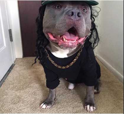 This Dawg Is 'Straight Outta Compton'