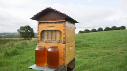 Flow Hive: Now Everyone Can Be A Beekeeper! Watch As Honey Flow From The Hive!