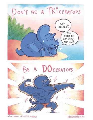 Don't Be a Triceratops, Be a DOceratops!