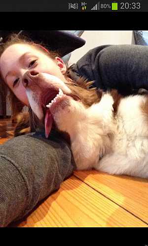 #funny dog #photobomb a selfie