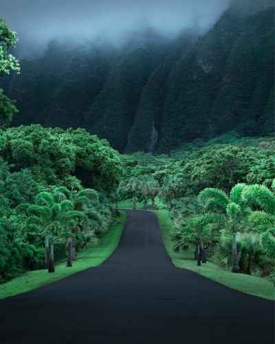 Road Along Ho’omaluhia Botanical Garden in Oahu, #Hawaii