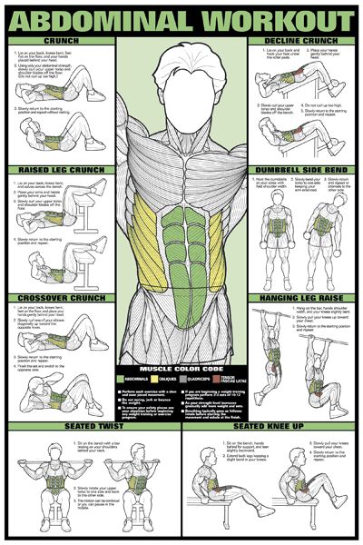 Visual Guide For The Right Exercise For Each Of Your Muscles