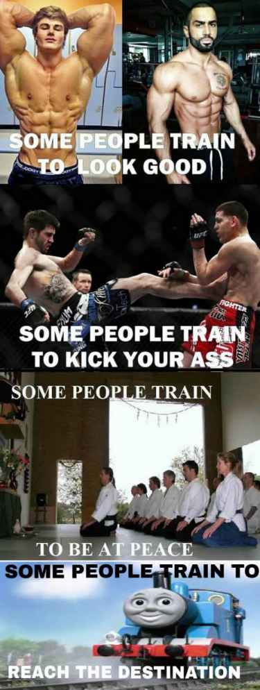The reasons why people train... 🚂
