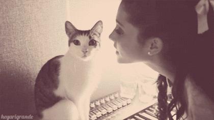 Shy cat doesn't want a kiss from a cute girl | #cats #aww