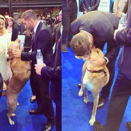 Tom Hardy Took His Dog To 'Legend' Premiere