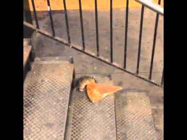 NYC rat taking pizza home on the subway
