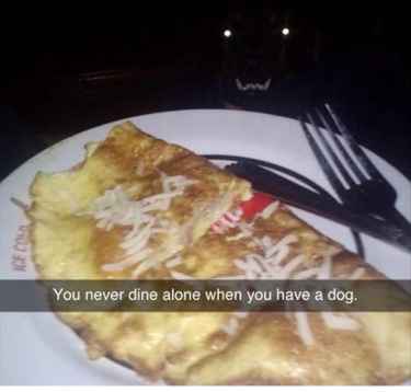 You never dine alone when you have a #dog...