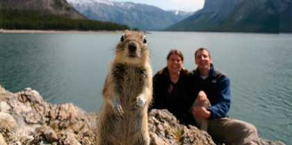 #Funny Squirrel #Photobomb