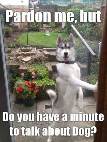 Jehovah's Dog...