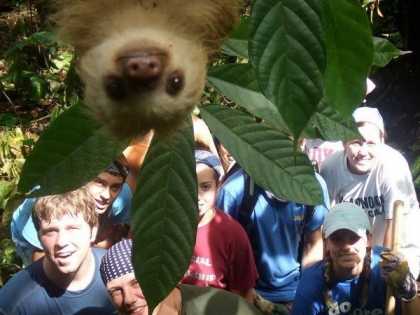#Funny Sloth #Photobomb
