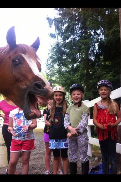 #Funny Horse #Photobomb