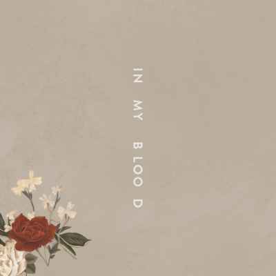 Shawn Mendes - In My Blood - #MySpotify