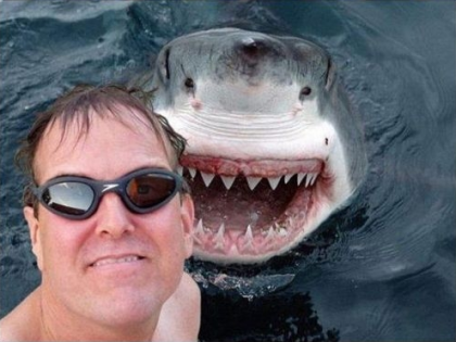 #Shark Photobomb