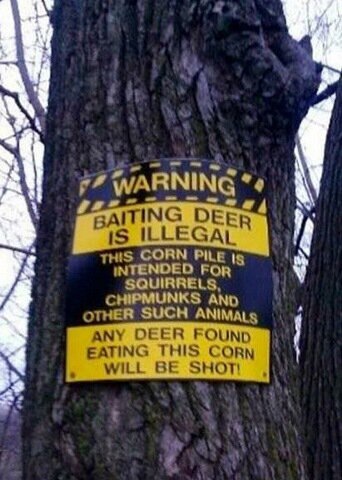 WARNING: Baiting deer is illegal!