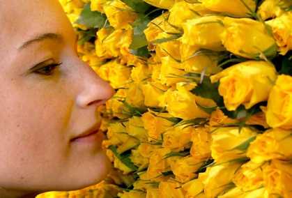 #Humans Can #Smell 1 Trillion Scents Study Says