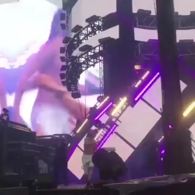 Steve Aoki threw cake to fans during his show