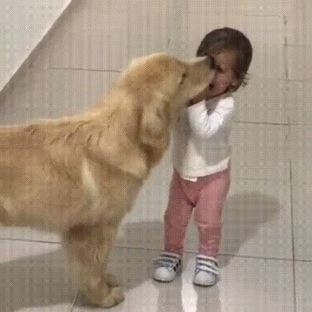 Big Puppy Kisses ❤️