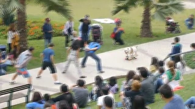 Dog skates between people's legs
