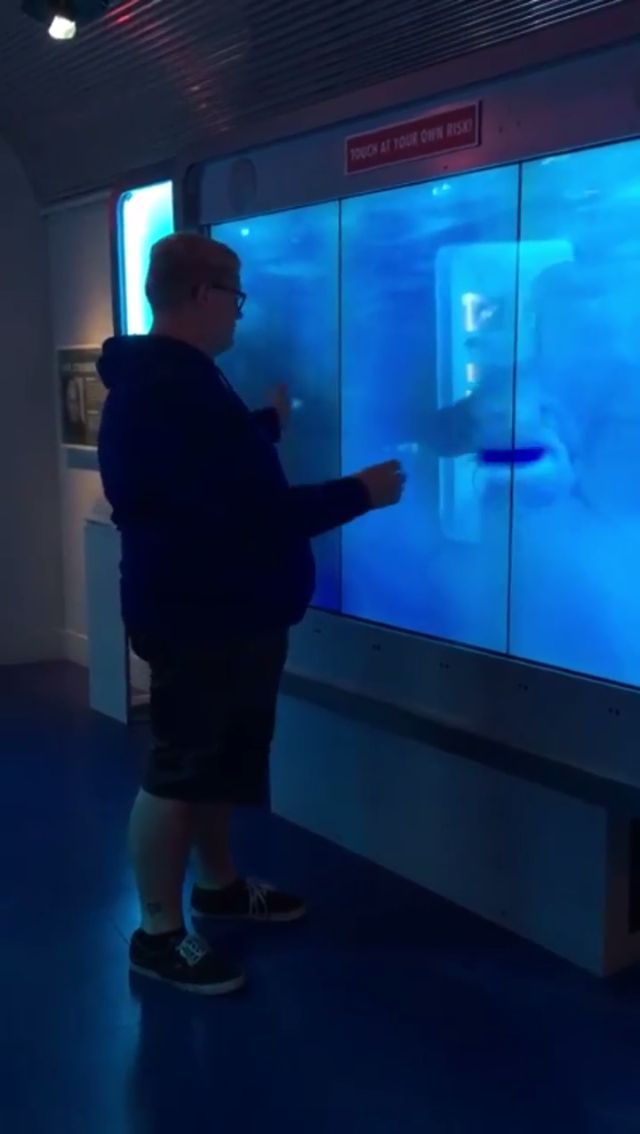 Shark Screen at Spy Museum DC