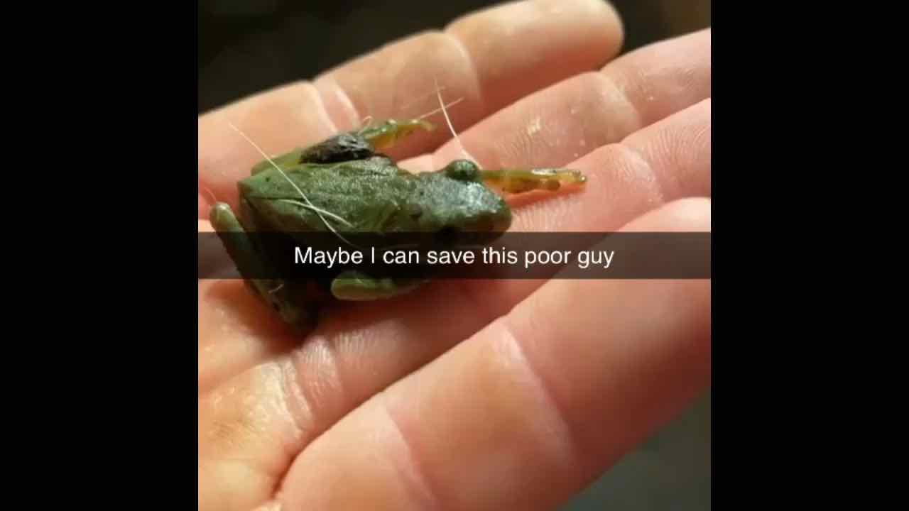 Saved this frogs life 🤓🥰